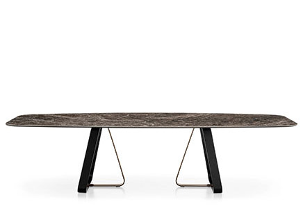 CG-T-SU_Sunshine (3)